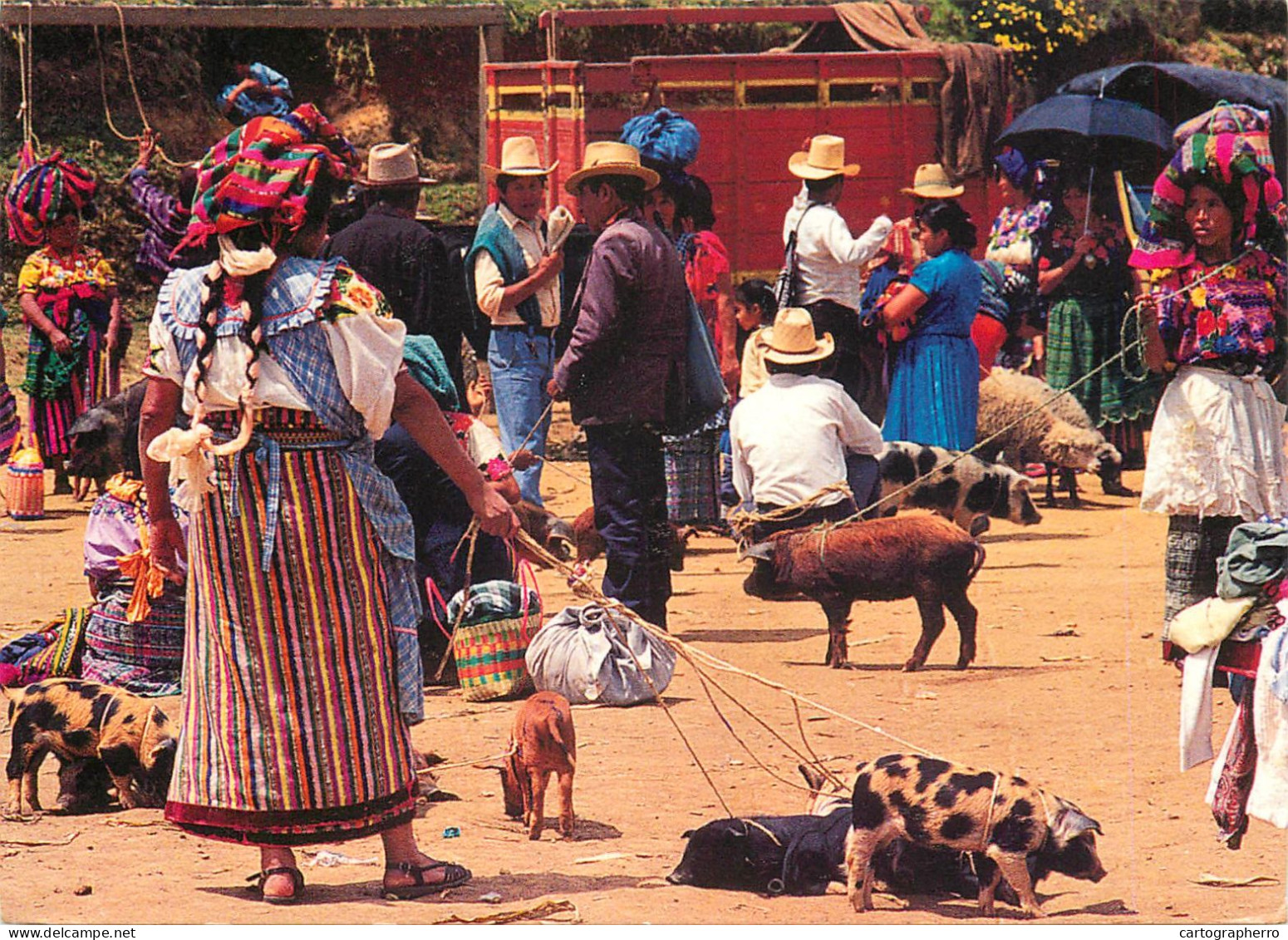 Postcard Guatemala Mercado De San Francisco El Alto - Guatemala