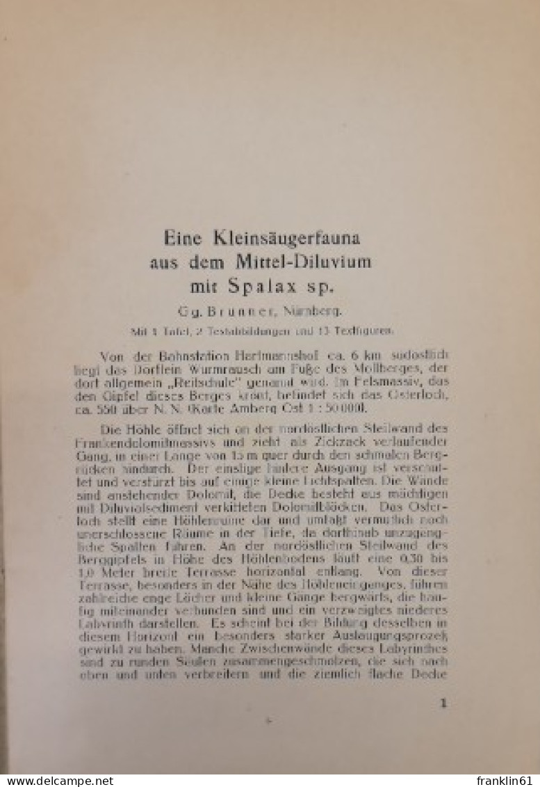 Das Osterloch Bei Wurmrausch (Oberpfalz). - 4. Neuzeit (1789-1914)