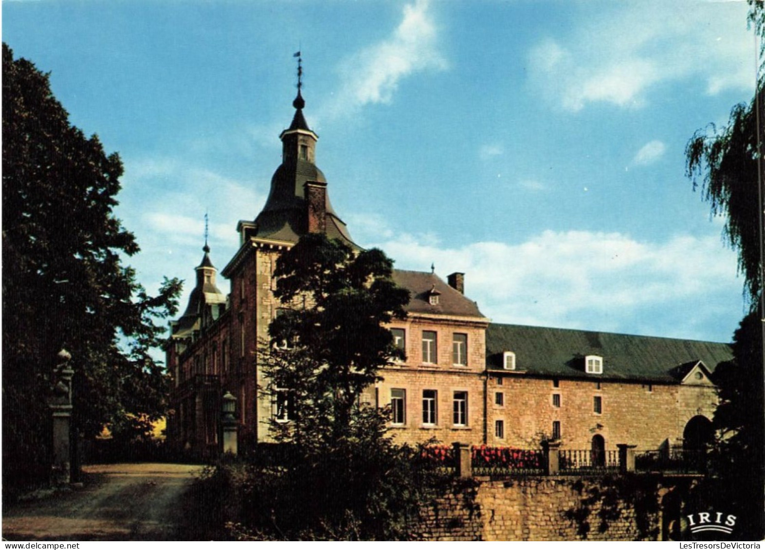 BELGIQUE - Esneux - Château D'Avionpuits - Iris - Nels - Carte Postale - Esneux