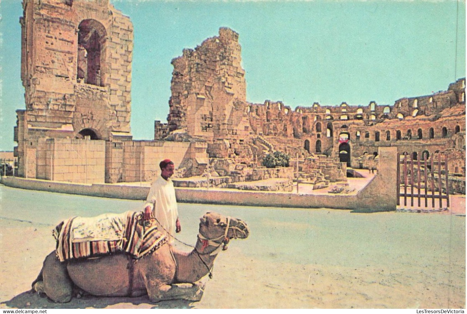 TUNISIE - El Jem - L'Amphithéâtre Romain - Colorisé - Carte Postale - Tunisia