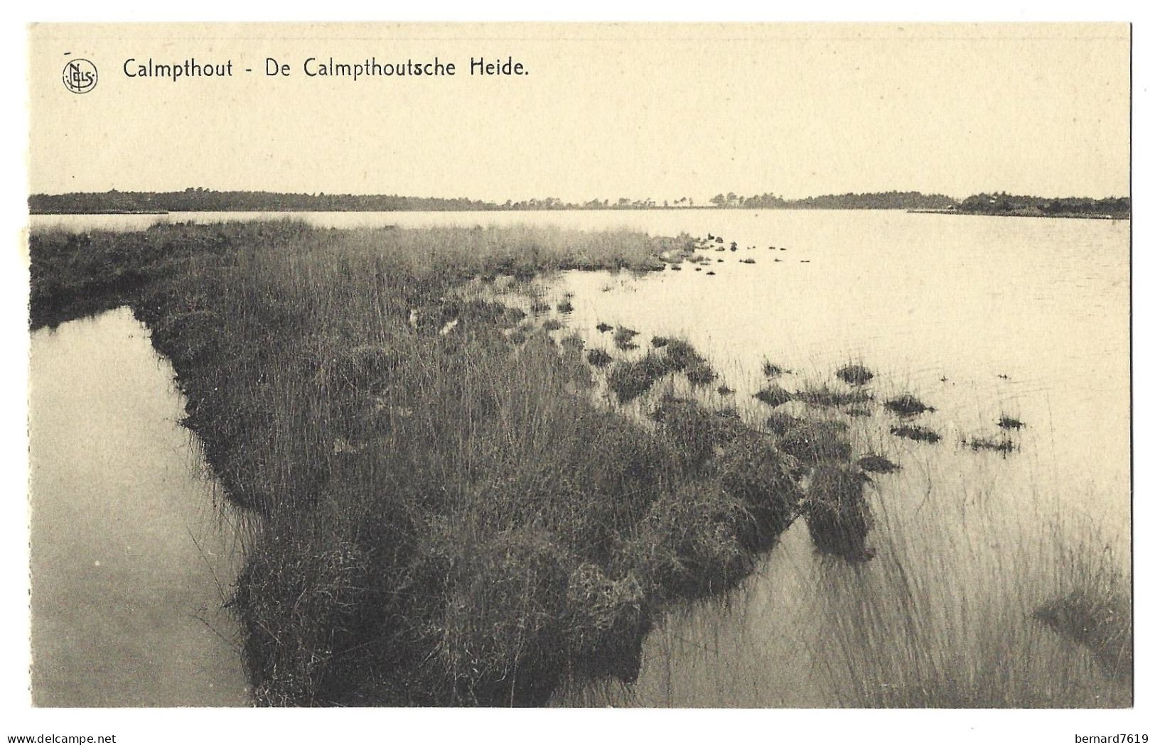 Belgique  -  Calmpthout  Ou  Kalmthout  -  De Calmpthoutsche Heide - Kalmthout