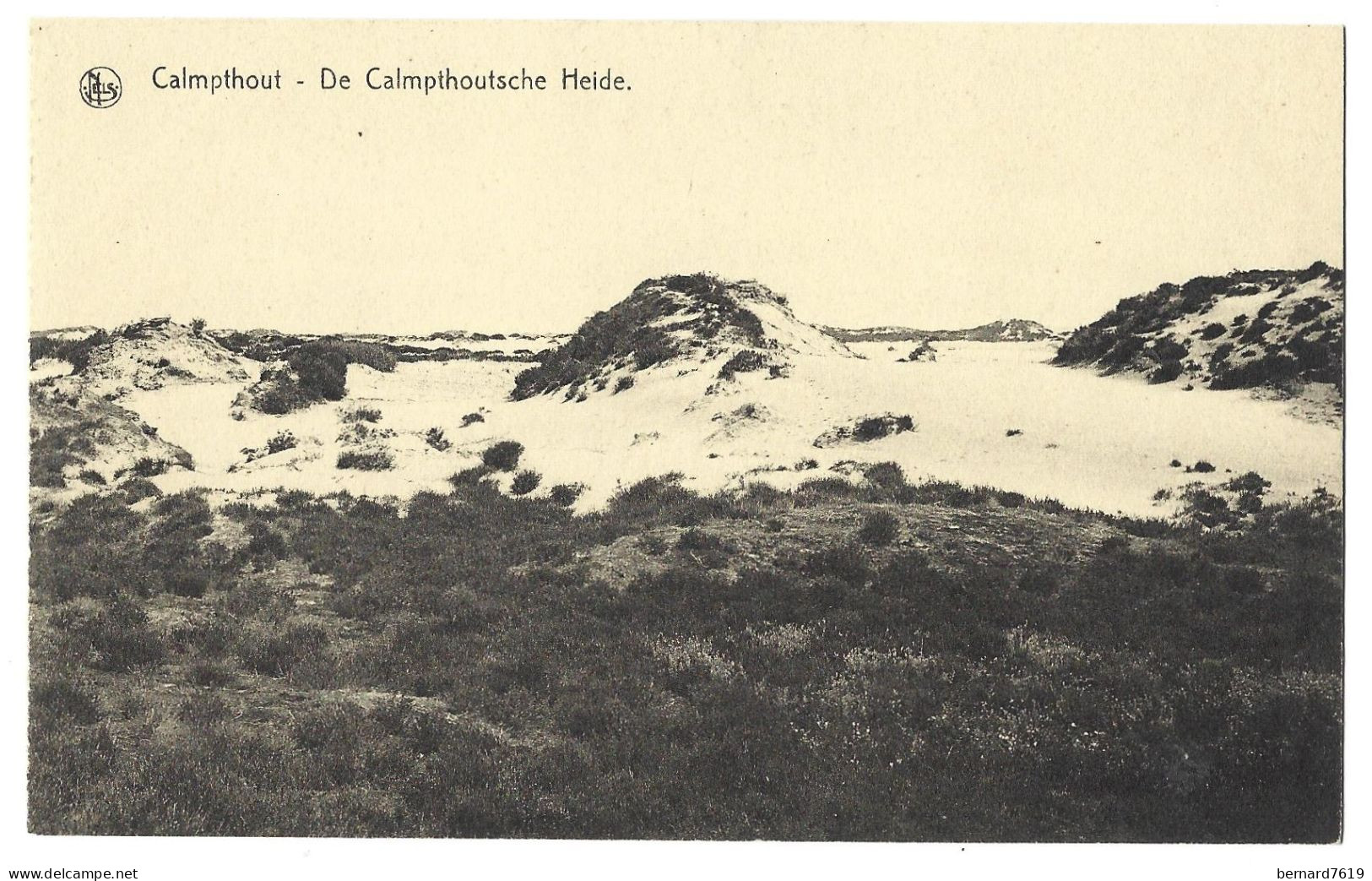 Belgique  -  Calmpthout  Ou  Kalmthout  -  De Calmpthoutsche Heide - Kalmthout