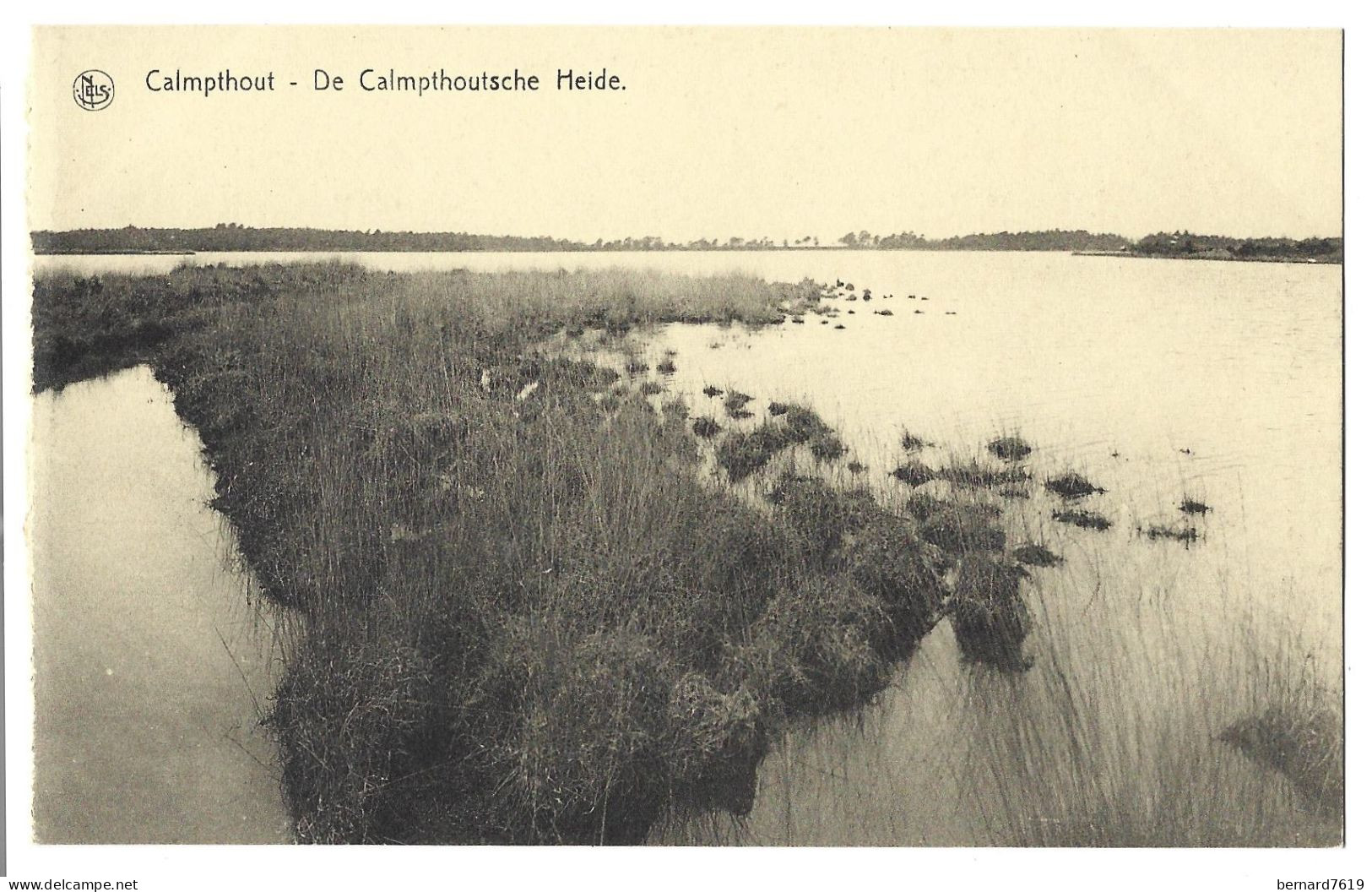 Belgique  -  Calmpthout  Ou  Kalmthout  -  De Calmpthoutsche Heide - Kalmthout