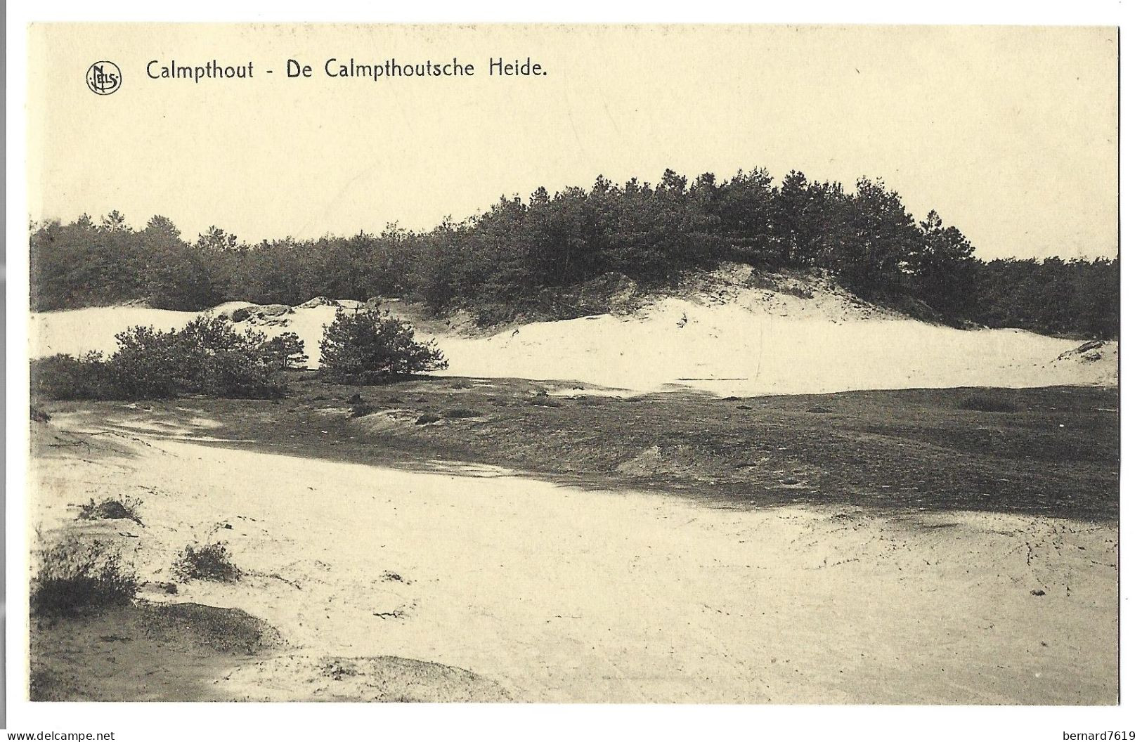 Belgique  -  Calmpthout  Ou  Kalmthout  -  De Calmpthoutsche Heide - Kalmthout