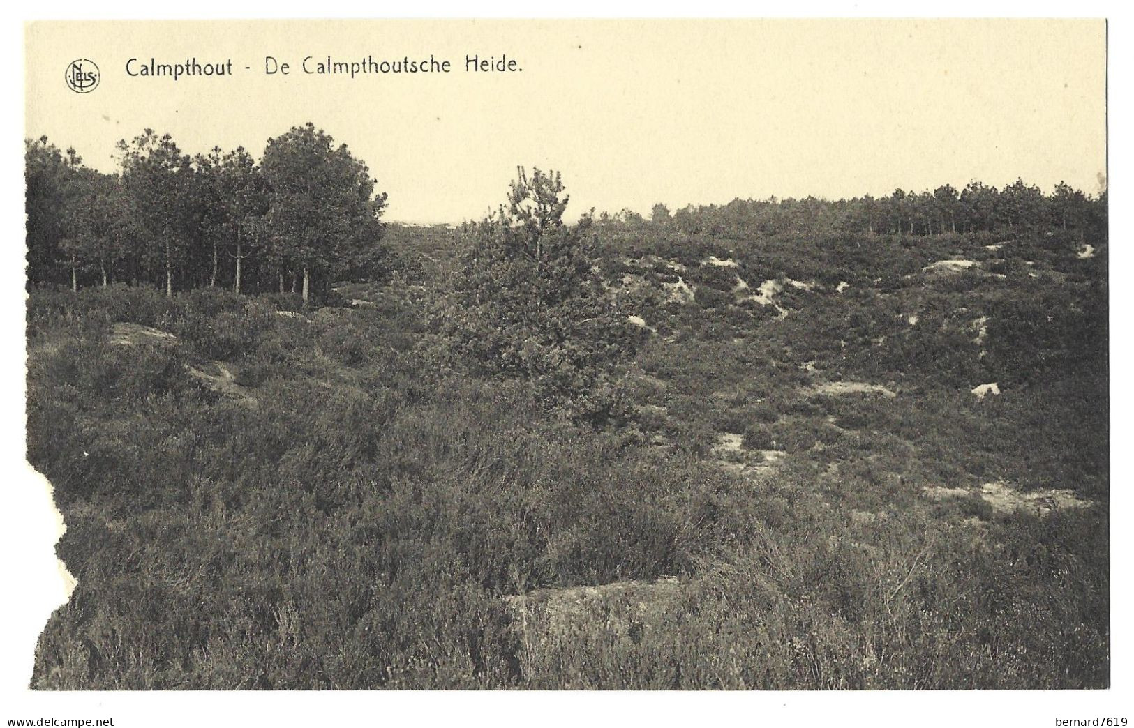 Belgique  -  Calmpthout  Ou  Kalmthout  -  De Calmpthoutsche Heide - Kalmthout