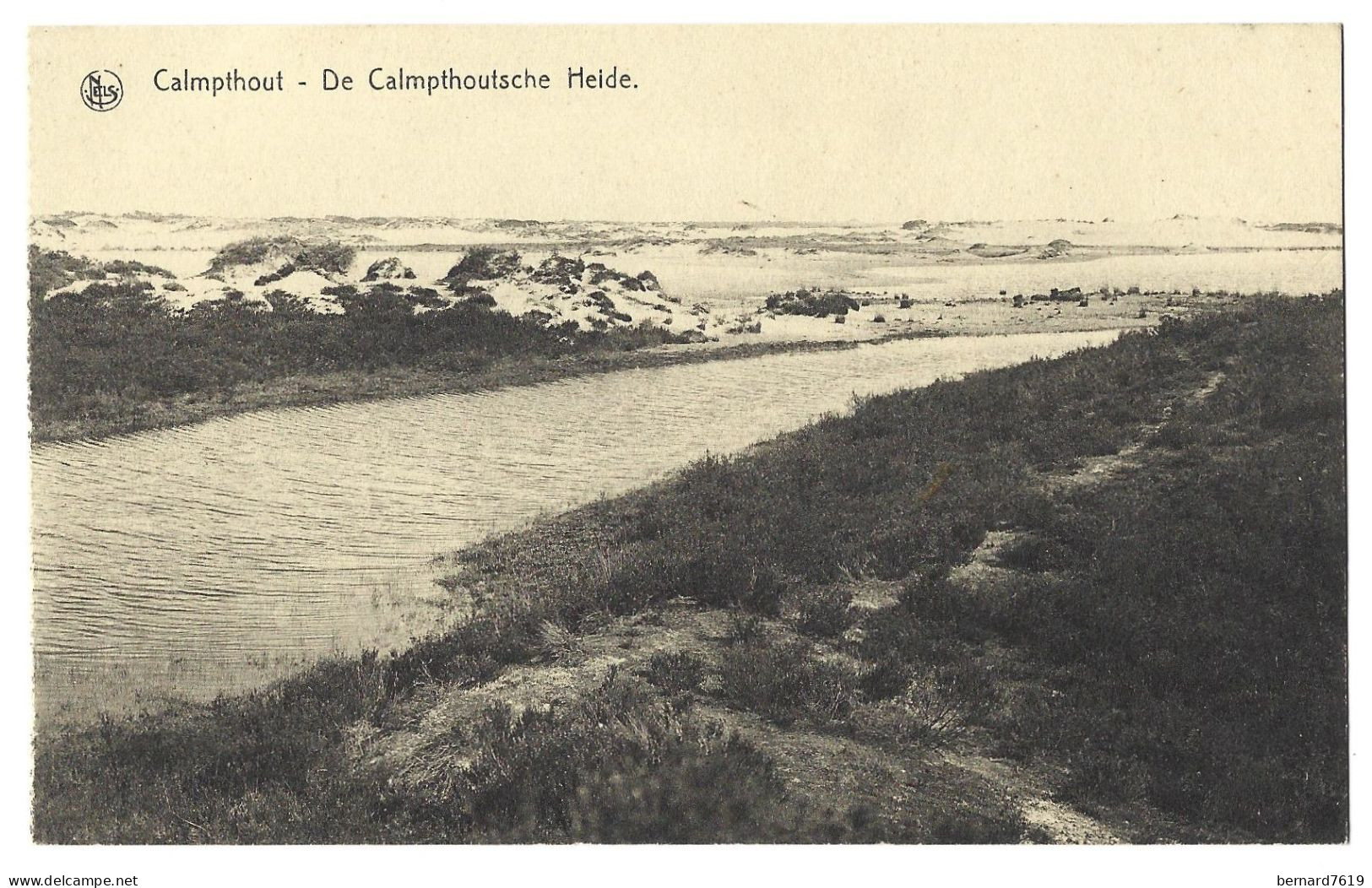 Belgique  -  Calmpthout  Ou  Kalmthout  -  De Calmpthoutsche Heide - Kalmthout