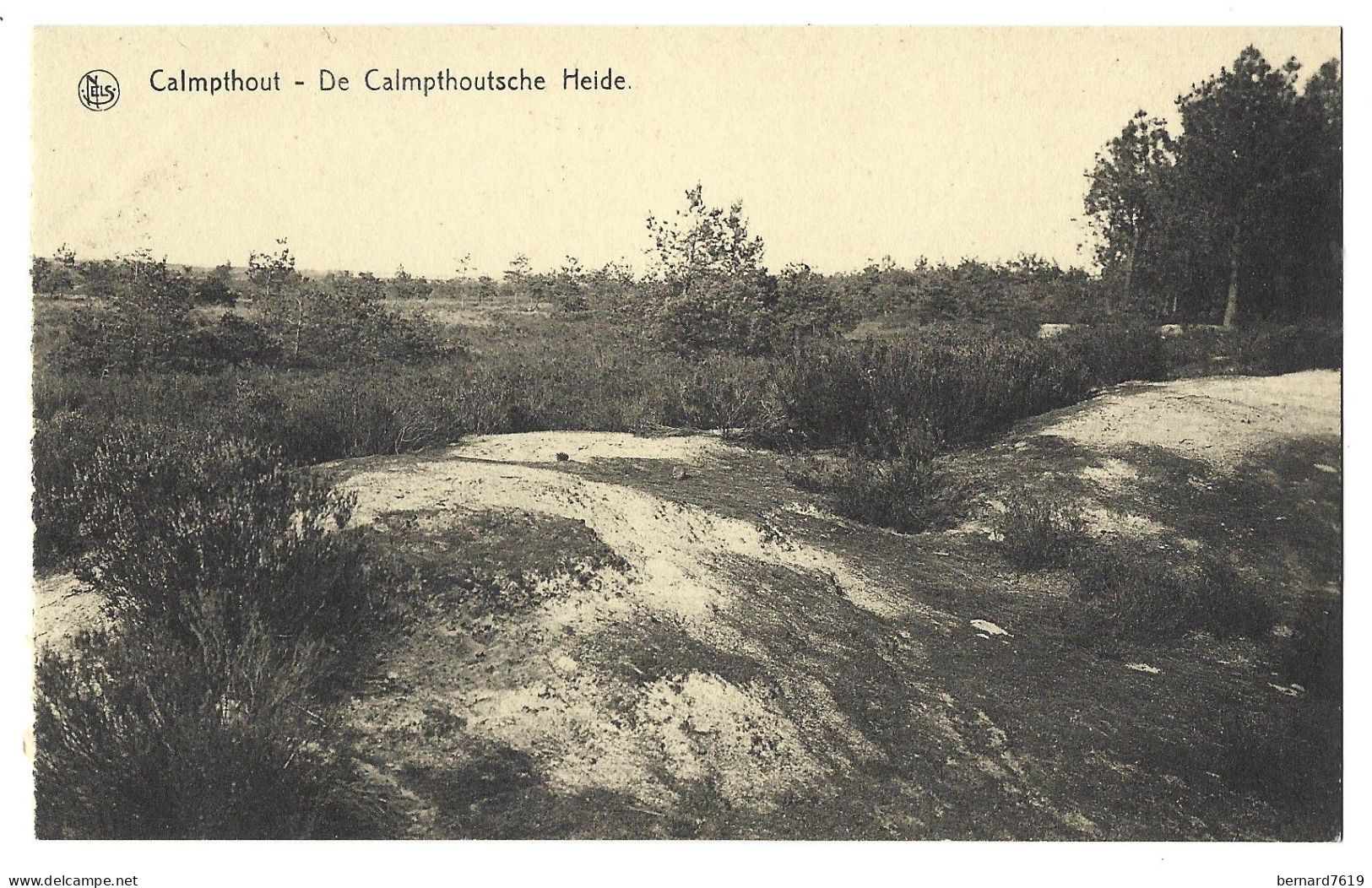 Belgique  -  Calmpthout  Ou  Kalmthout  -  De Calmpthoutsche Heide - Kalmthout