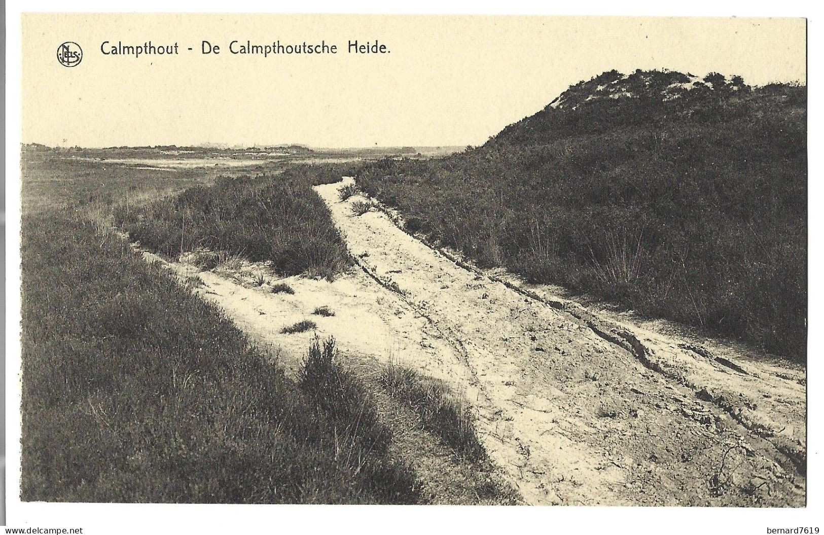 Belgique  -  Calmpthout  Ou  Kalmthout  -  De Calmpthoutsche Heide - Kalmthout