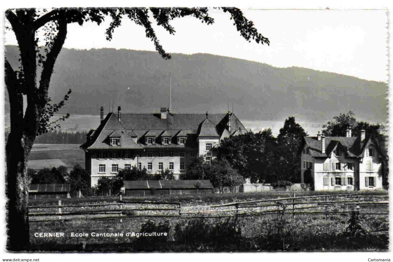 Cernier - Ecole Cantonale D'Agriculture - Cernier