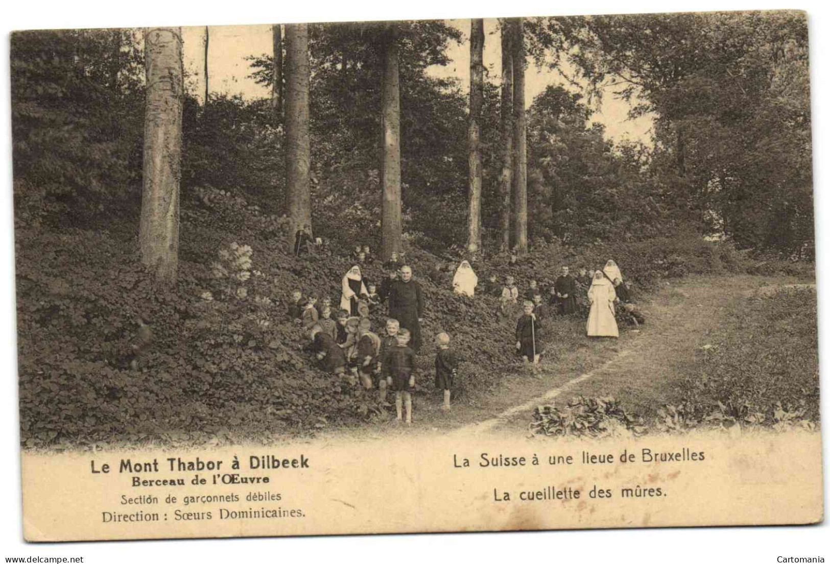 Le Mont Thabor à Dilbeek - Dilbeek