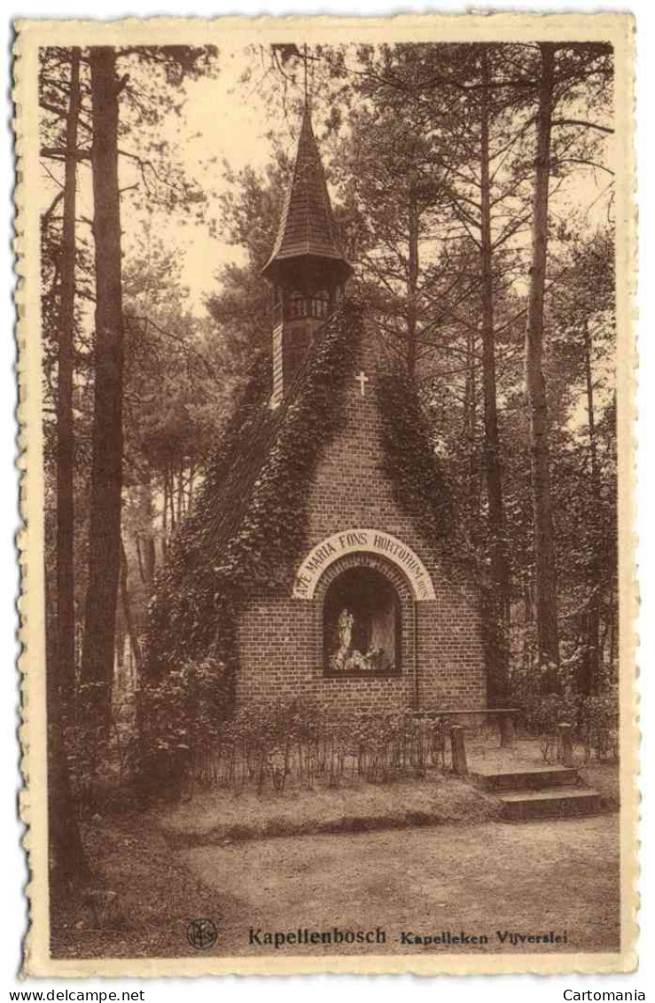 Kapellenbosch - Kapelleken Vijverslei - Kapelle-op-den-Bos