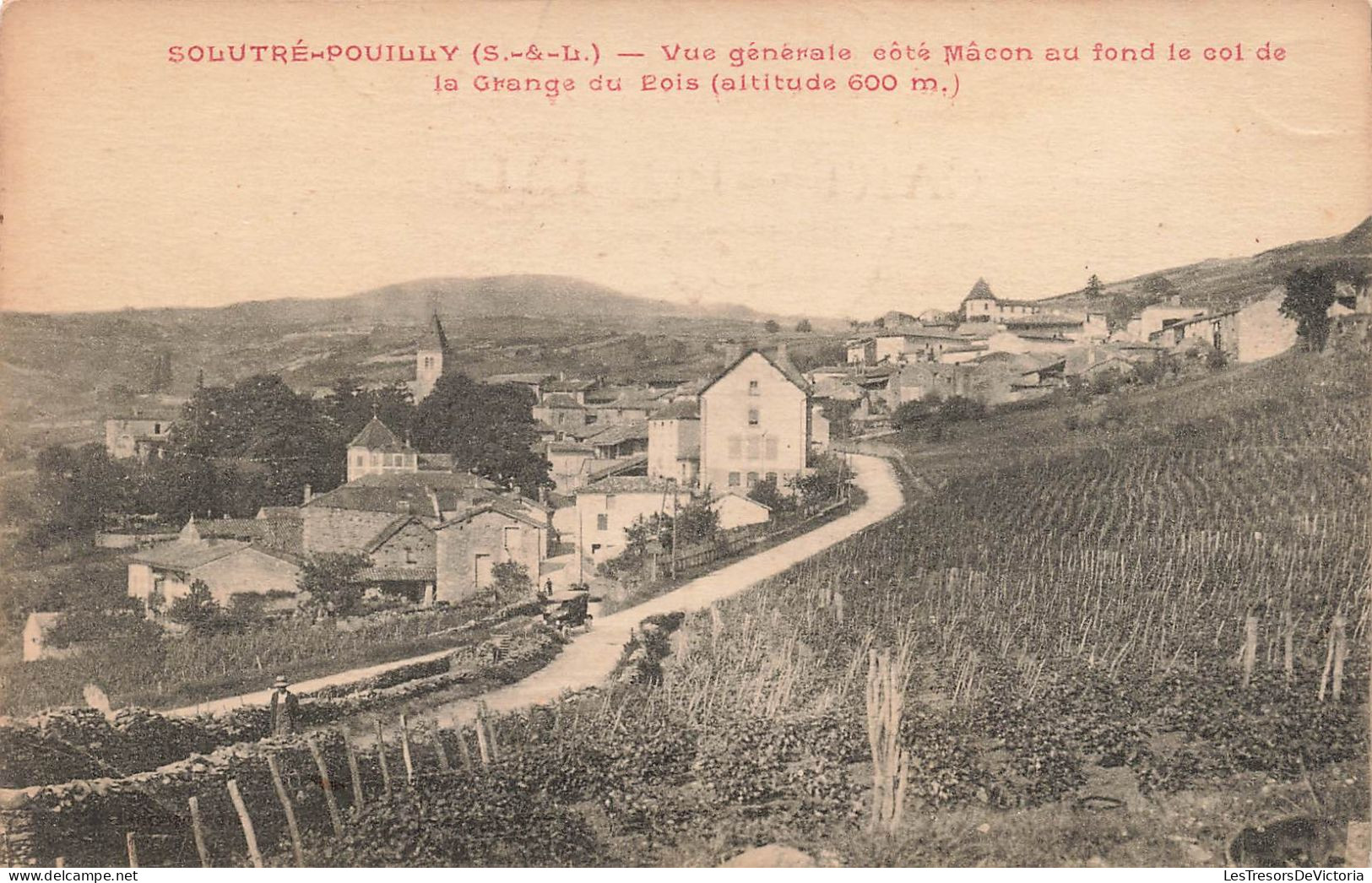 FRANCE - Macon - Solutré-Pouilly - Vue Générale Côté Macon Au Fond Le Col De La Grange Du Rois - Carte Postale Ancienne - Macon