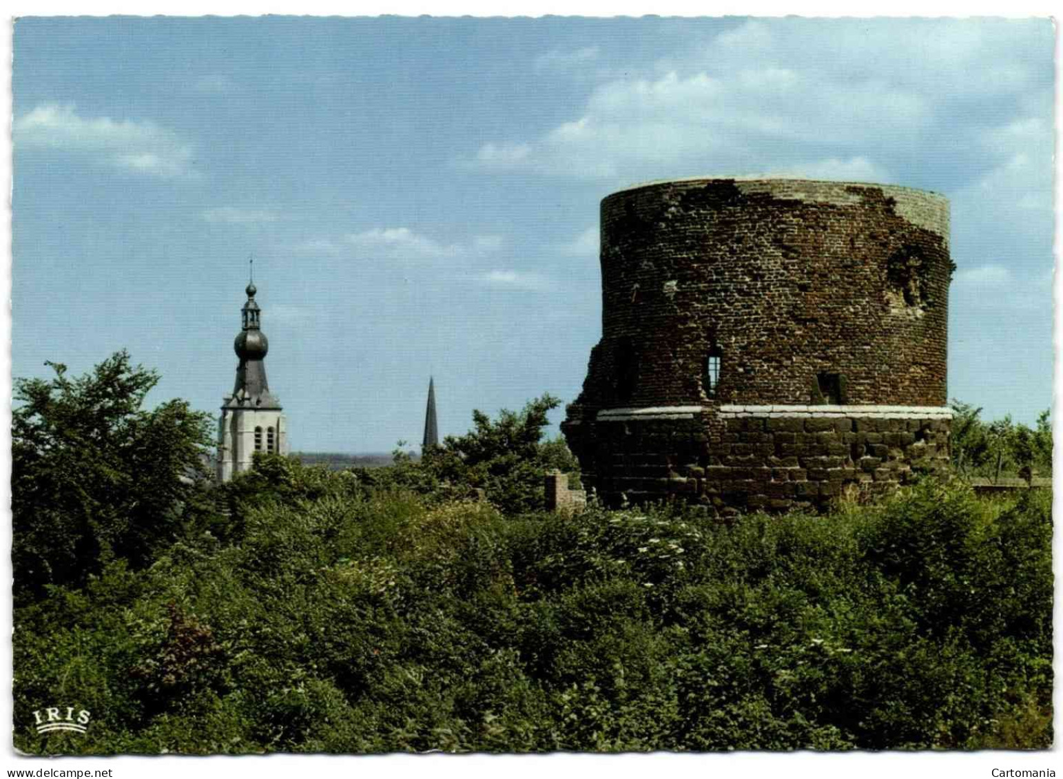 Aarschot - De Aurelianustoren Ruine 12e Eeuw - Aarschot