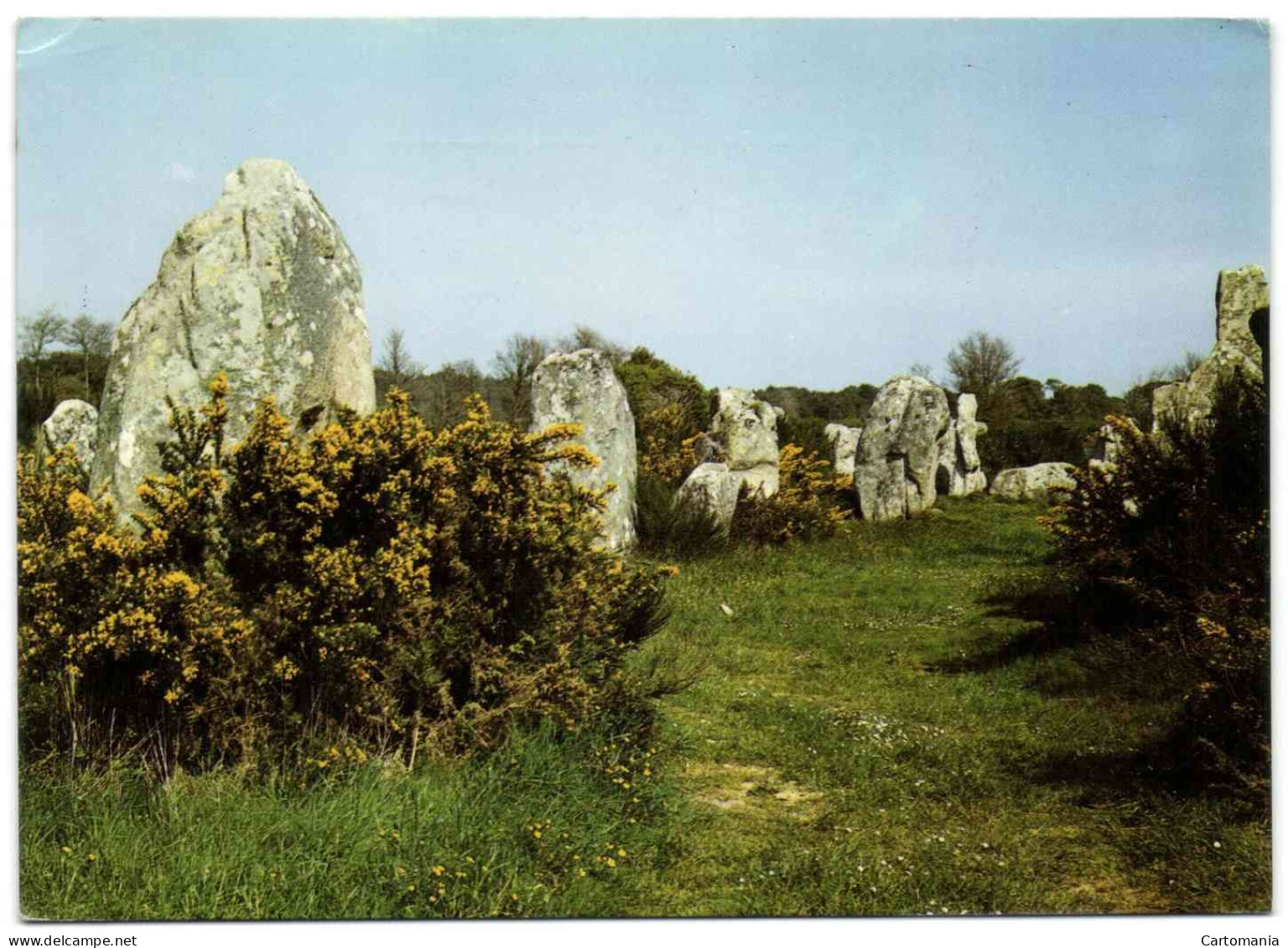 Les Alignements Mégalithiques De Kerzéro à Erdeven - Erdeven