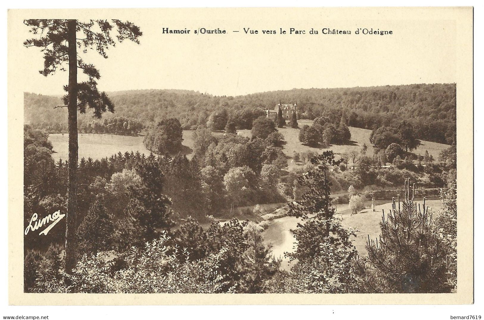 Belgique  -   Hamoir Sur Ourthe - Vue Vers Le Parc  Du Chateau  D'odeigne - Hamoir