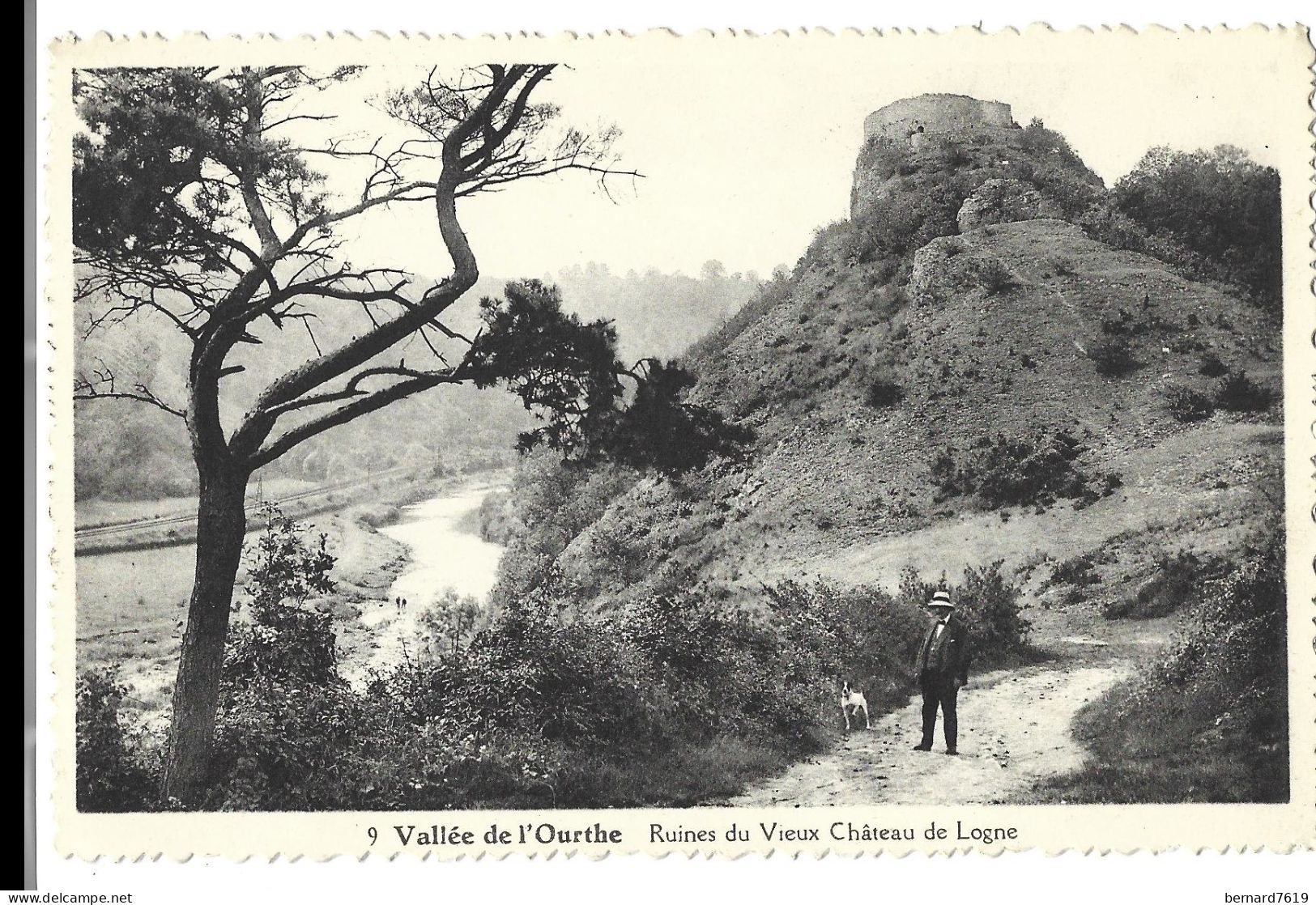 Belgique  -   Hamoir Sur Ourthe - Environs  -  Vallee De L'ourthe - Ruines Du Vieux Chateau De Logne - Hamoir