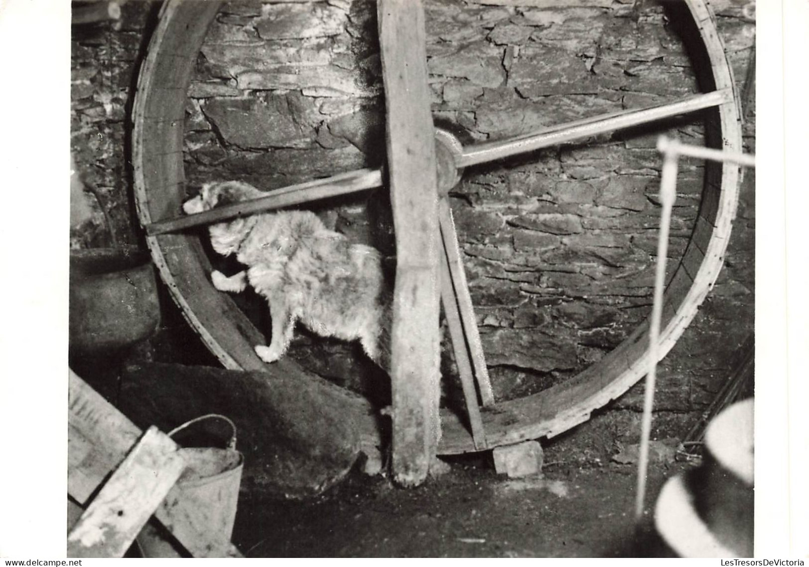 BELGIQUE - Liège - Musée De La Vie Wallonne - Chien Faisant Tourner La Roue Du Soufflet D'une Forge - Carte Postale - Liege