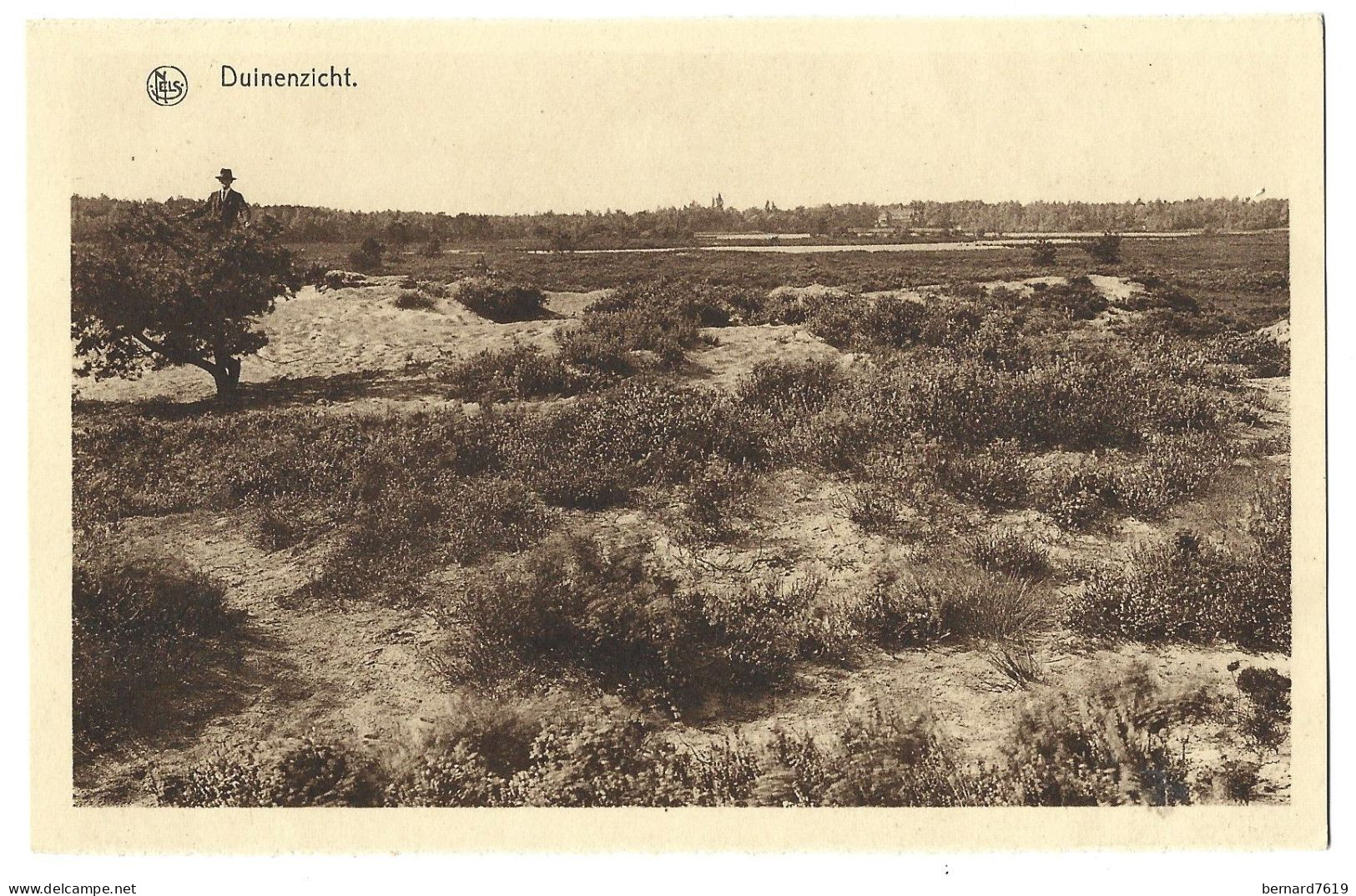 Belgique  -  Duinenzicht  - Vue - Kalmthout