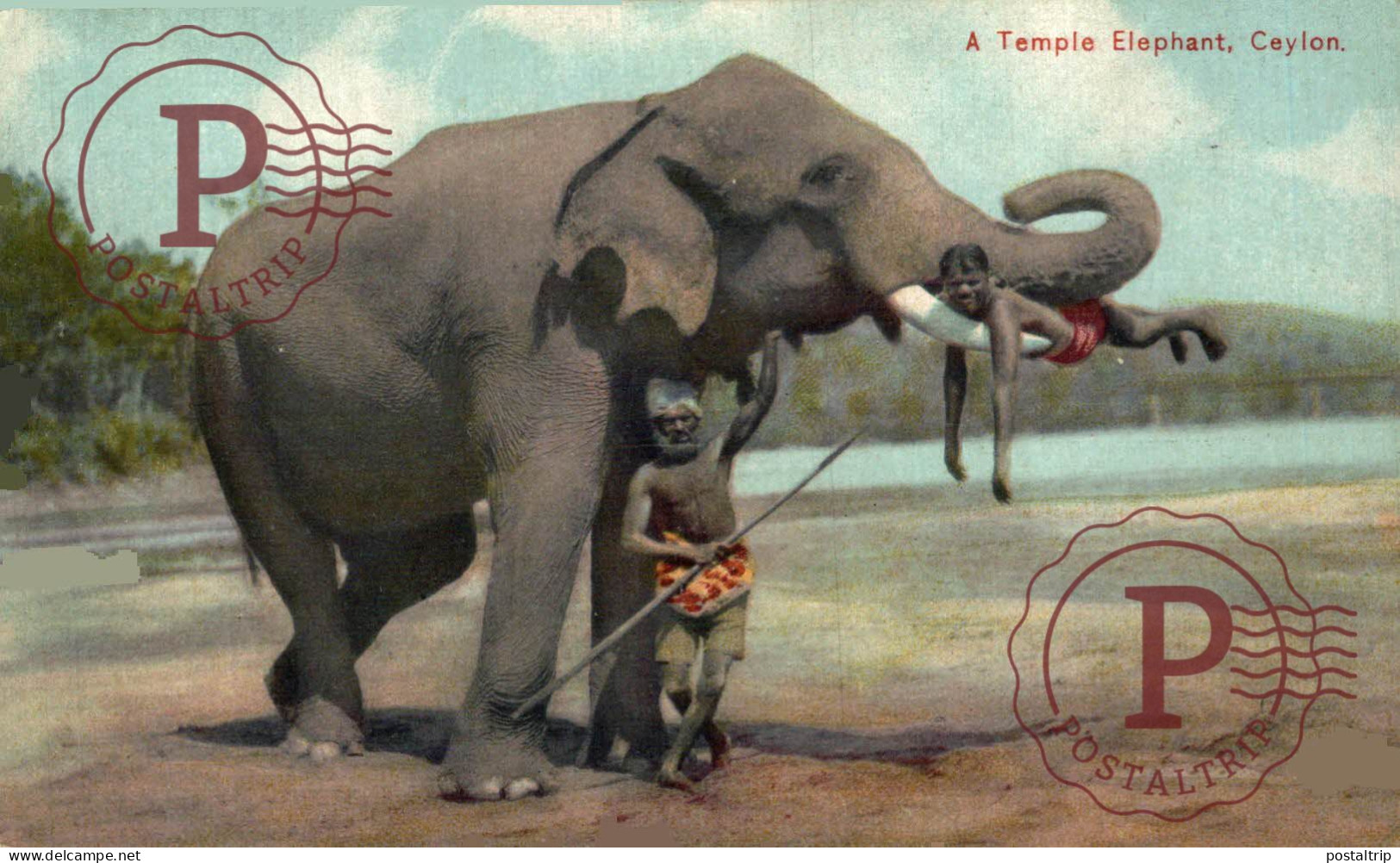 SRI LANKA CEYLON - CEYLAN. TEMPLE ELEPHANT. - Sri Lanka (Ceylon)