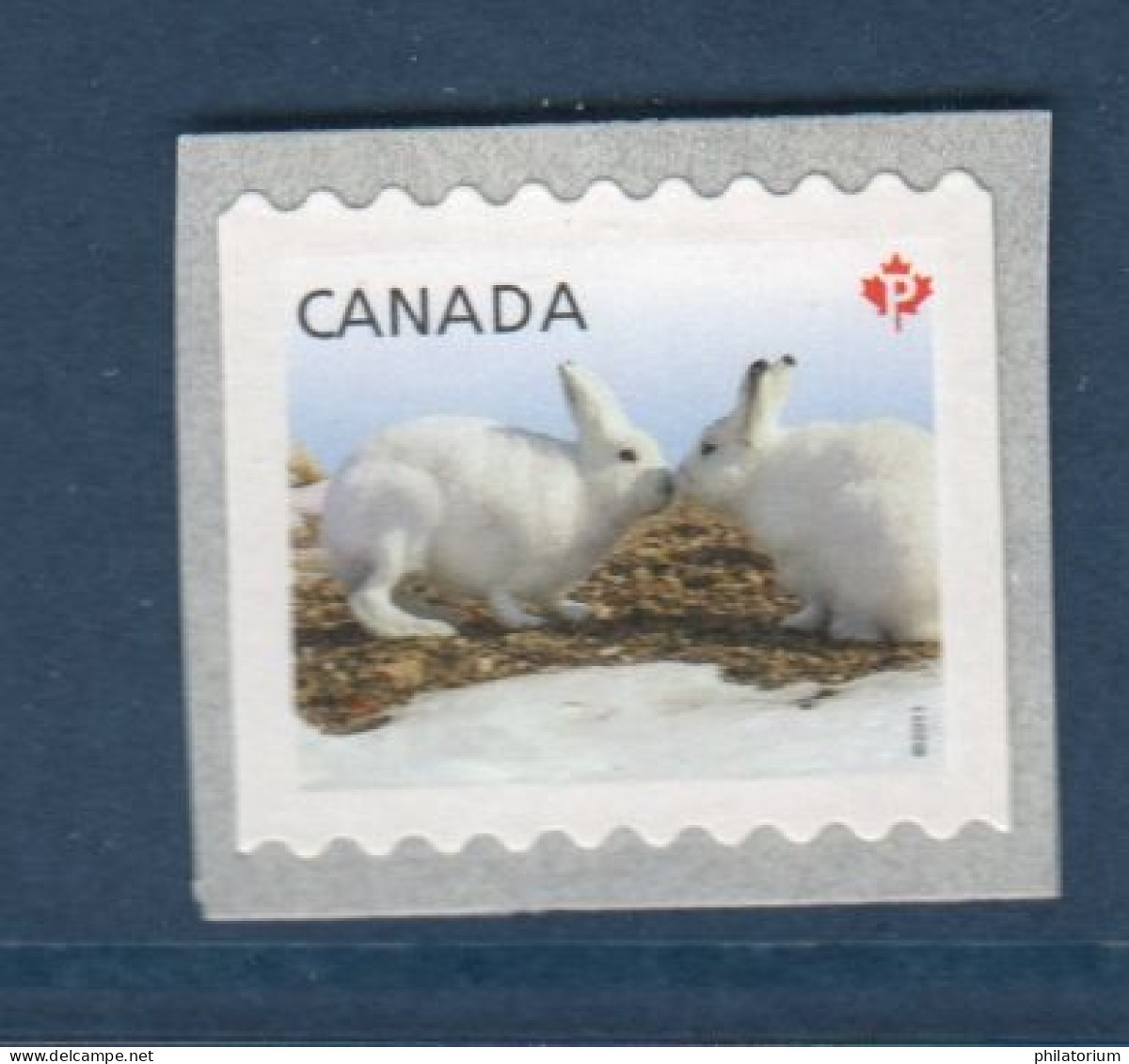Canada, Yv 2570, Mi 2682, **, Lapin Blanc - Neufs