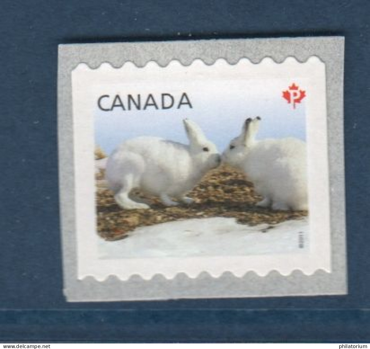 Canada, Yv 2570, Mi 2682, **, Lapin Blanc - Rabbits