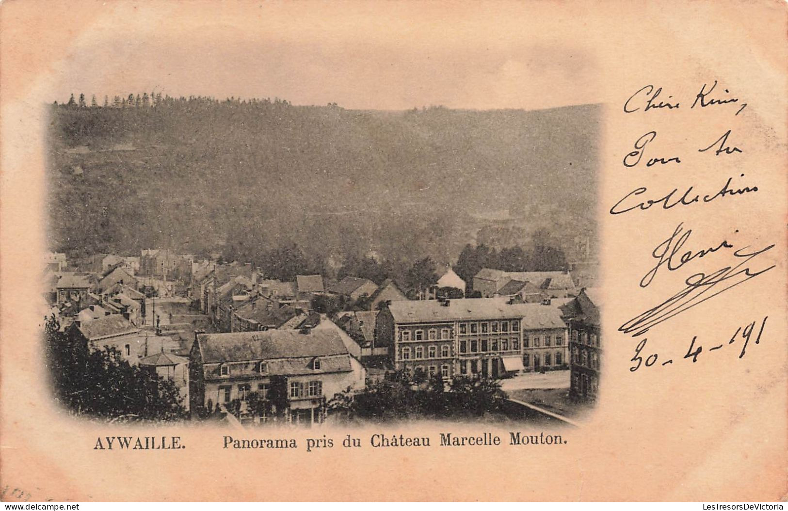 BELGIQUE - Aywaille - Panorama Pris Du Château Marcelle Mouton - Carte Postale Ancienne - Aywaille