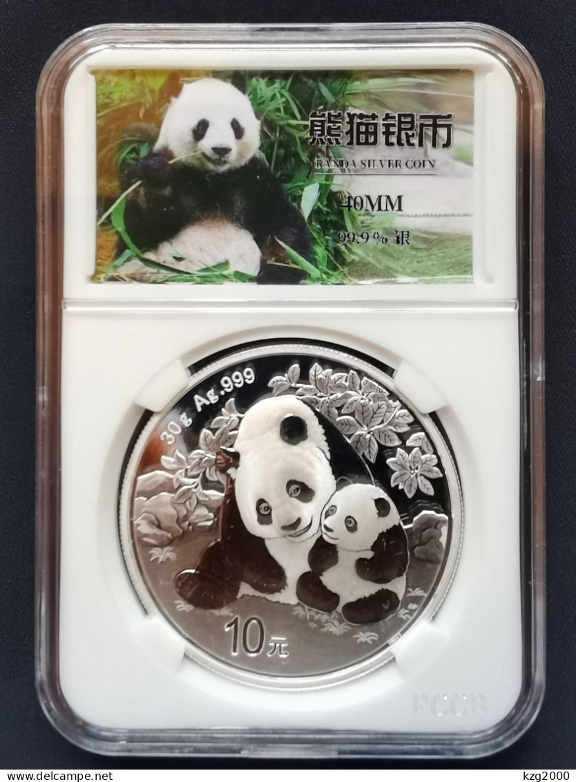 China 2024 CSIS MS70 Panda Silver Coin 30g  Panda Lable   1Pcs - Chine