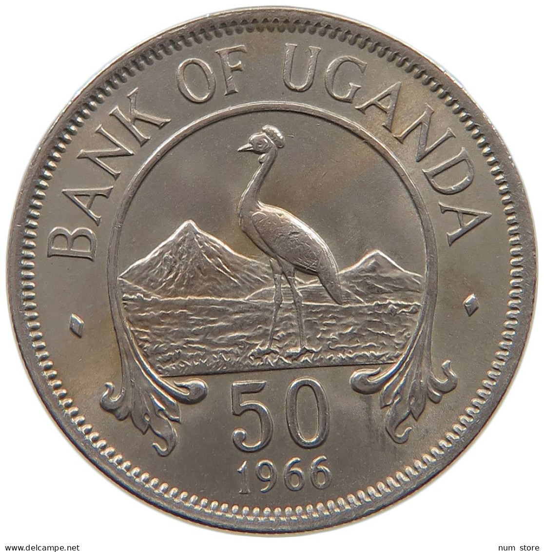 UGANDA 50 CENTS 1966  #a080 0217 - Oeganda