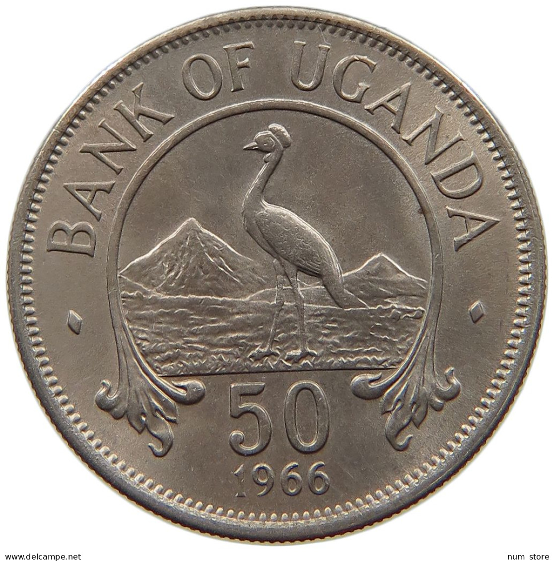 UGANDA 50 CENTS 1966  #a089 0755 - Ouganda