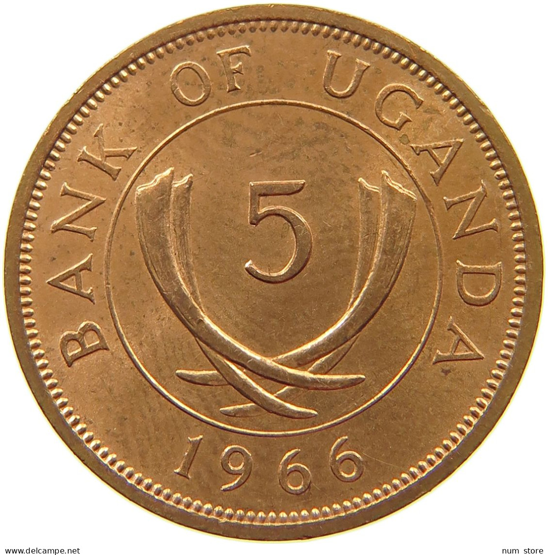 UGANDA 5 CENTS 1966  #s067 0171 - Uganda