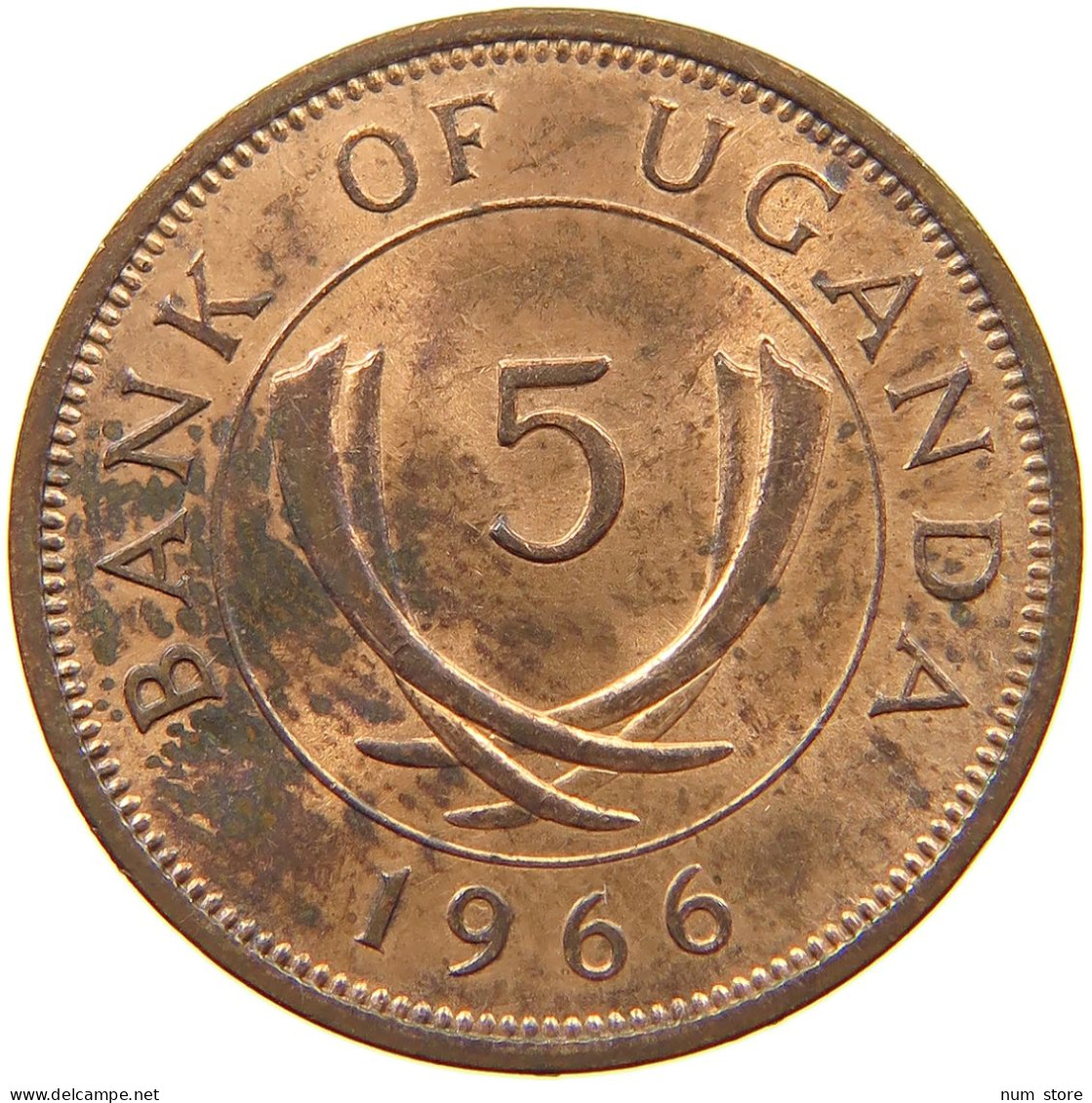 UGANDA 5 CENTS 1966  #s054 0721 - Ouganda