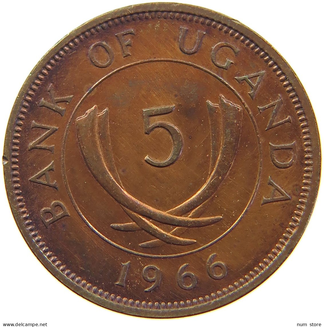 UGANDA 5 CENTS 1966  #c062 0243 - Oeganda