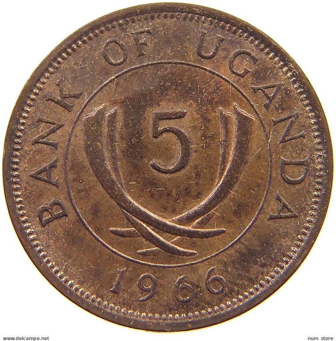 UGANDA 5 CENTS 1966  #s080 0141 - Oeganda