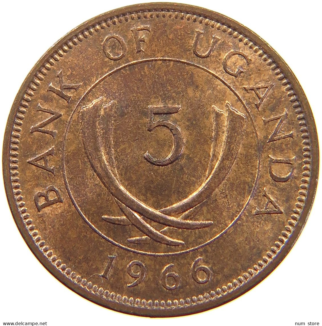 UGANDA 5 CENTS 1966  #s062 0263 - Ouganda