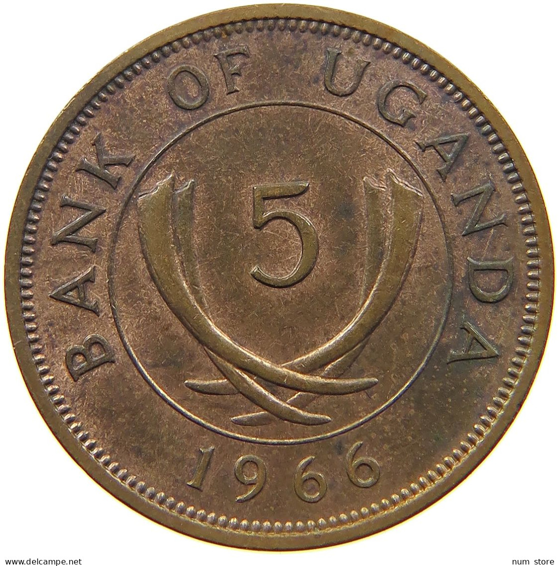 UGANDA 5 CENTS 1966  #c022 0447 - Oeganda