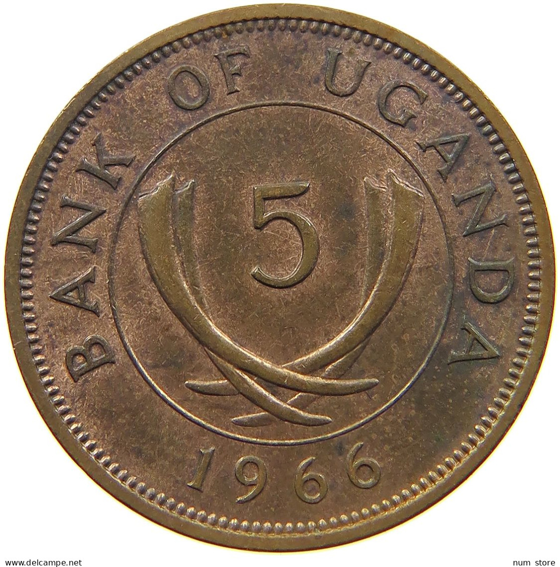 UGANDA 5 CENTS 1966  #c022 0447 - Uganda
