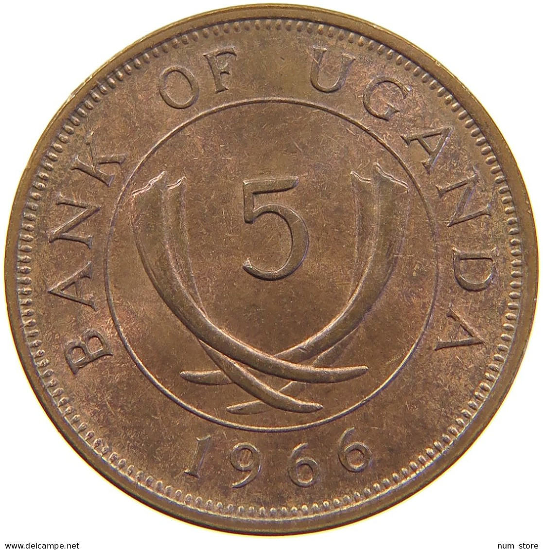 UGANDA 5 CENTS 1966  #c016 0493 - Ouganda