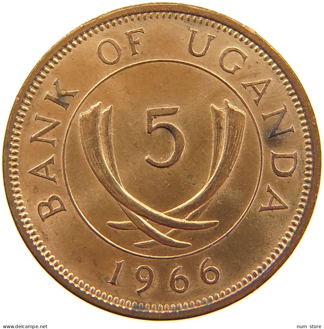 UGANDA 5 CENTS 1966  #a085 0677 - Oeganda