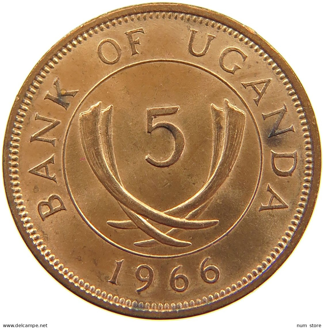 UGANDA 5 CENTS 1966  #a085 0677 - Uganda