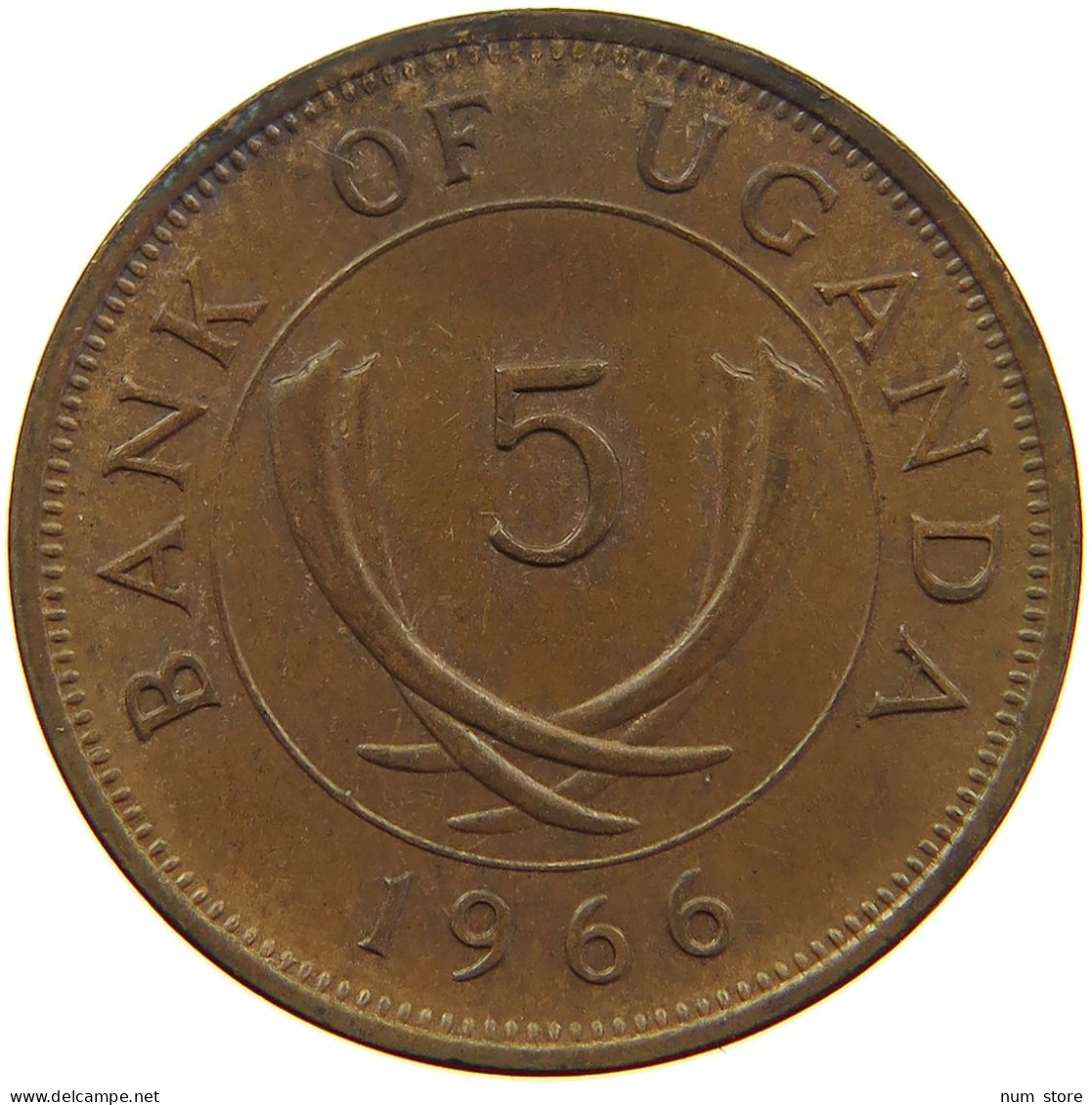 UGANDA 5 CENTS 1966  #a085 0679 - Ouganda