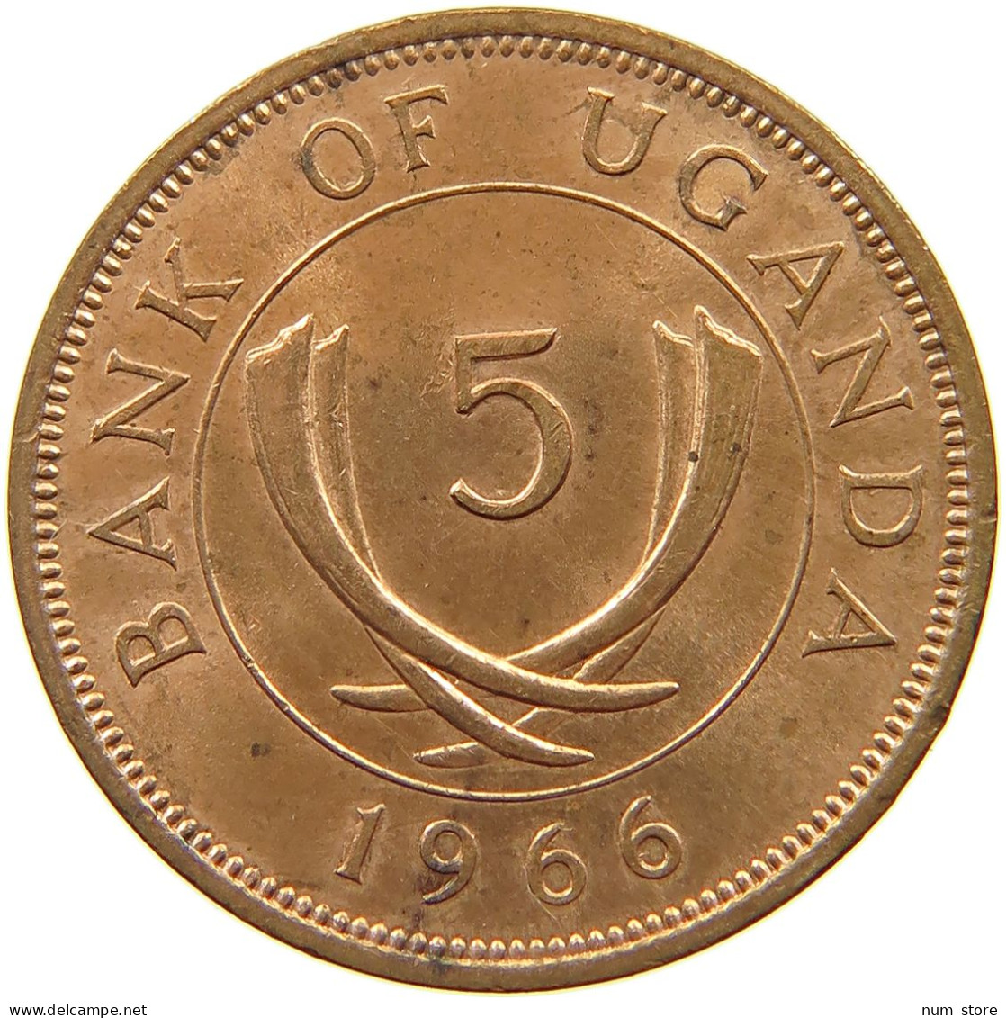 UGANDA 5 CENTS 1966  #a093 0415 - Uganda