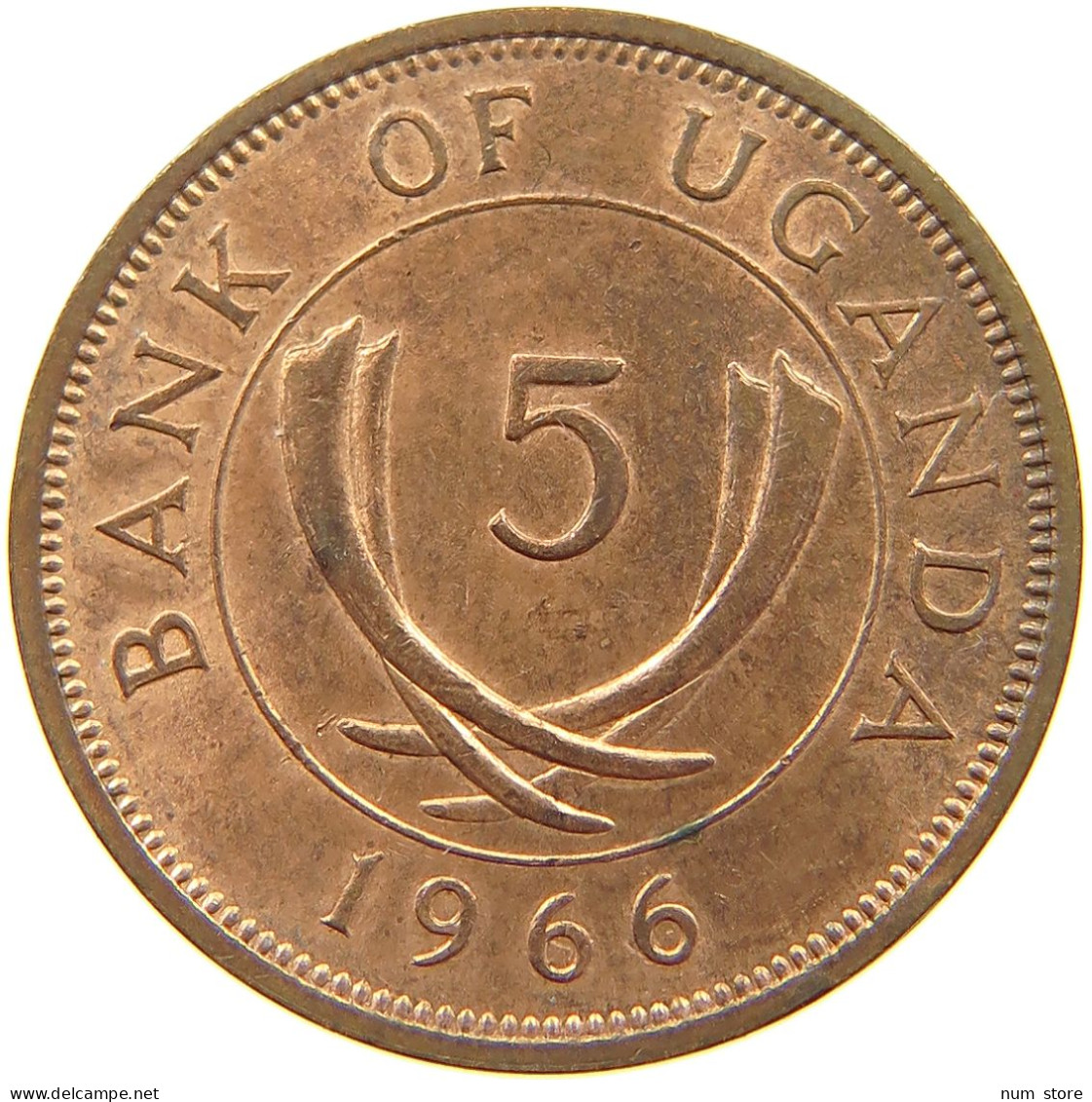 UGANDA 5 CENTS 1966  #a014 0065 - Ouganda