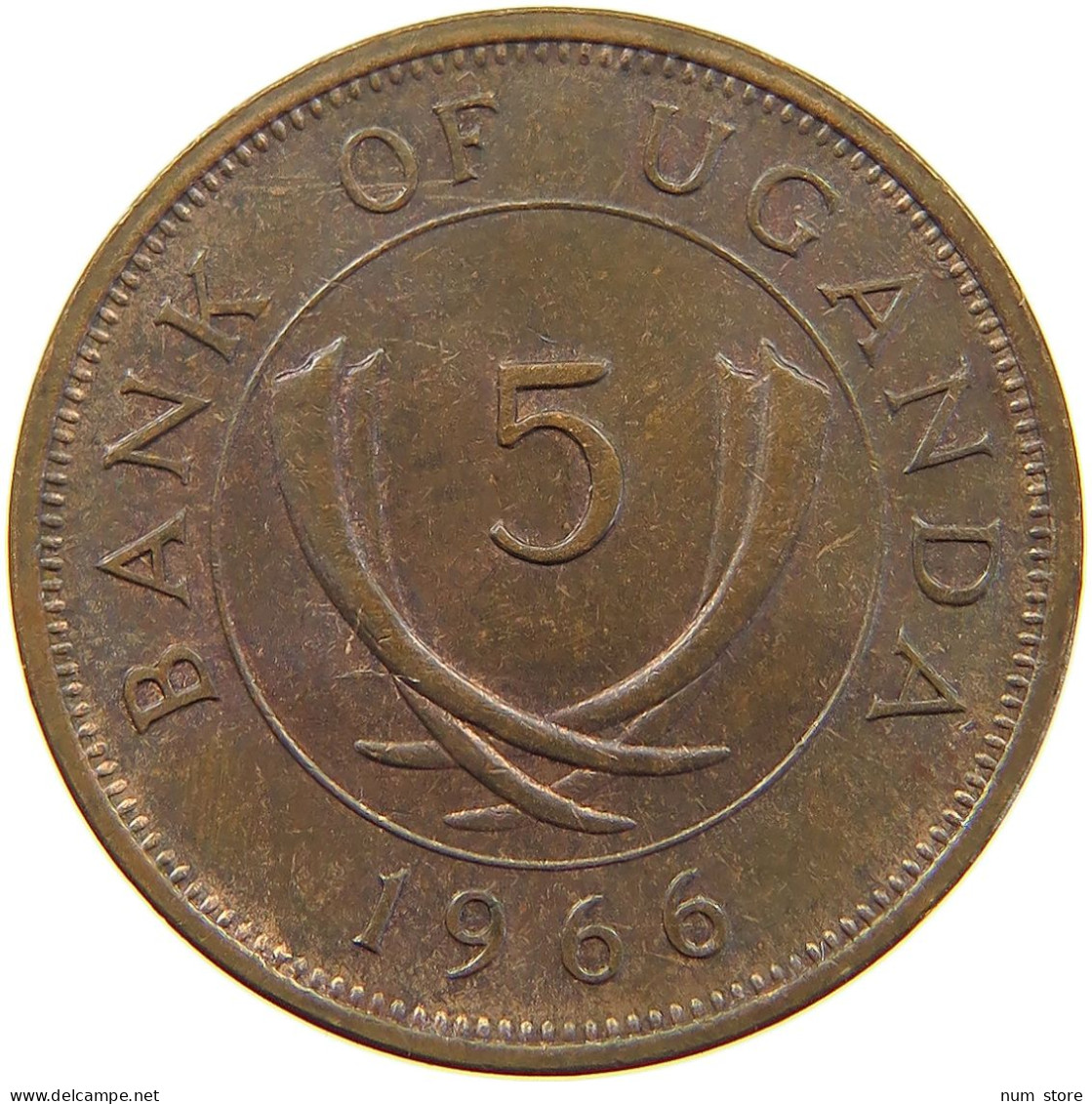 UGANDA 5 CENTS 1966  #a013 0047 - Oeganda