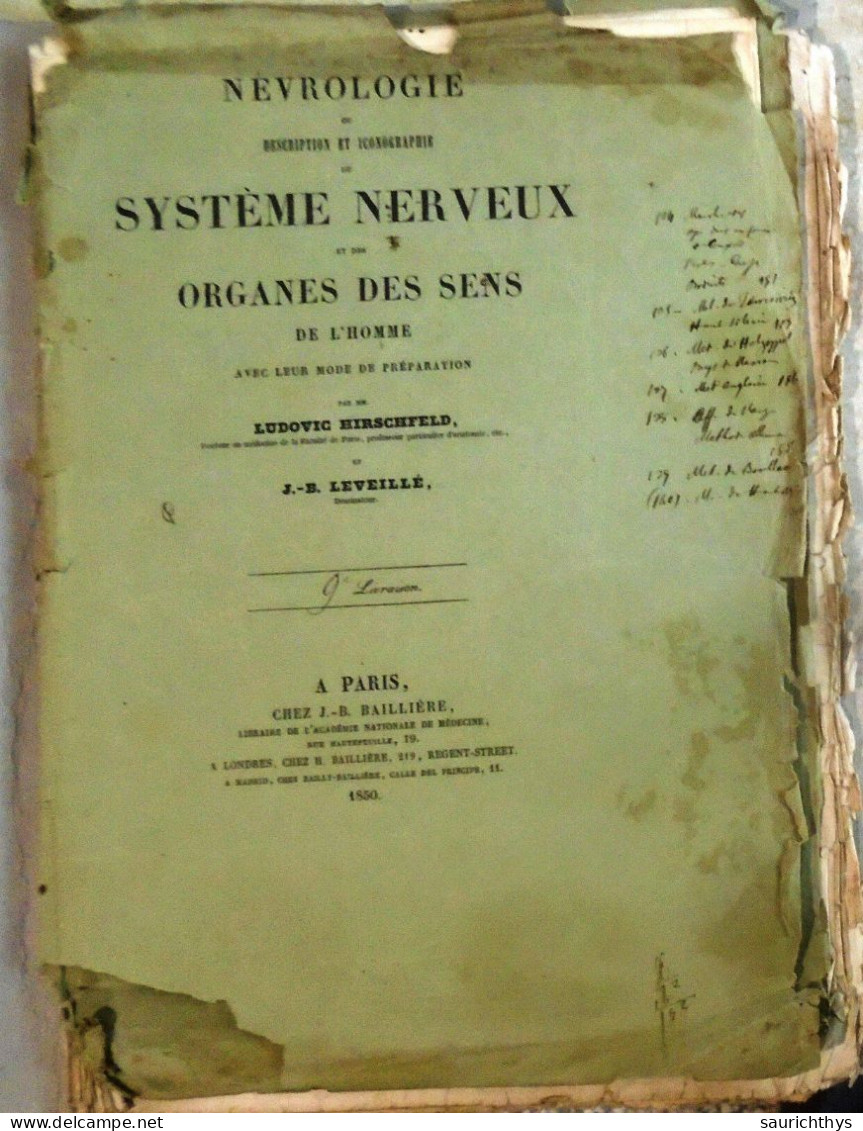 Geologia Mineralogia Documenti Autografi Del Senatore Costantino Perazzi Senato Del Regno - Personnages Historiques