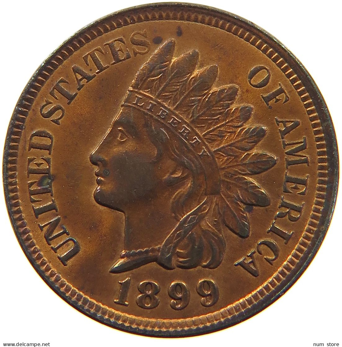 UNITED STATES OF AMERICA CENT 1899 INDIAN HEAD #t140 0371 - 1859-1909: Indian Head