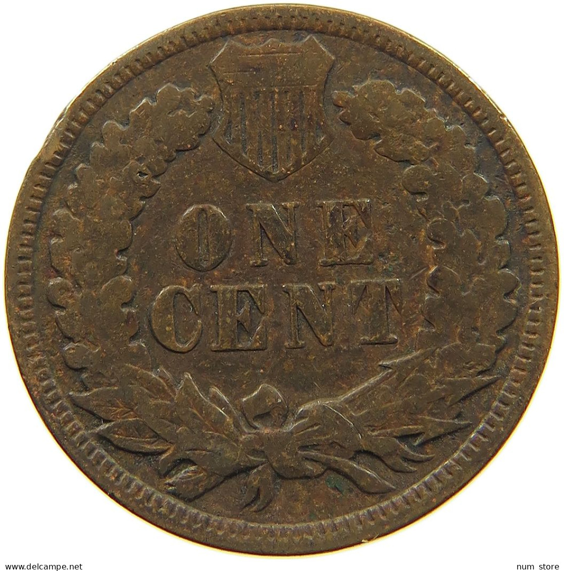UNITED STATES OF AMERICA CENT 1895 INDIAN HEAD #c022 0557 - 1859-1909: Indian Head