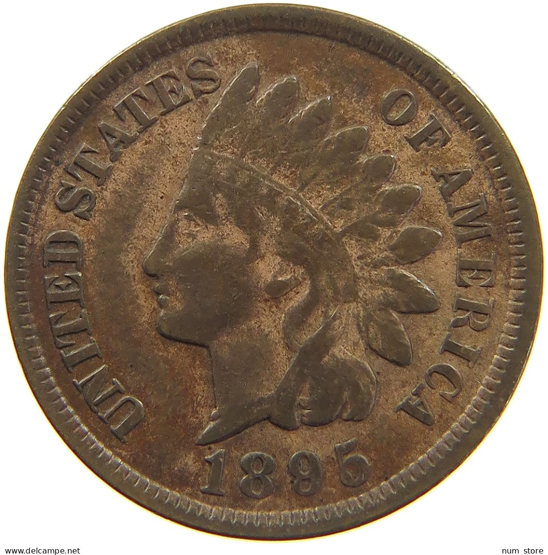 UNITED STATES OF AMERICA CENT 1895 INDIAN HEAD #c036 0345 - 1859-1909: Indian Head