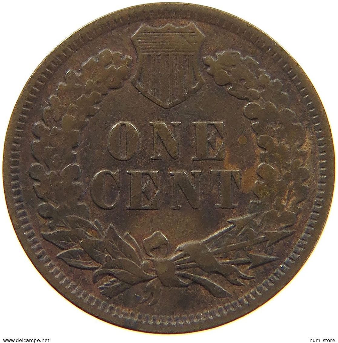 UNITED STATES OF AMERICA CENT 1895 INDIAN HEAD #c036 0345 - 1859-1909: Indian Head