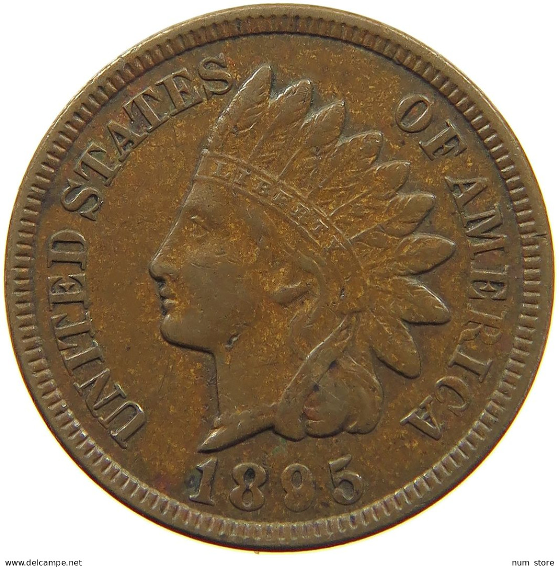 UNITED STATES OF AMERICA CENT 1895 INDIAN HEAD #c007 0179 - 1859-1909: Indian Head