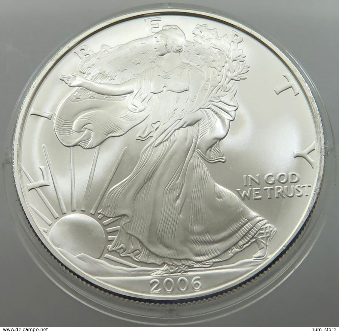 UNITED STATES OF AMERICA DOLLAR 2006  #sm06 0147 - Non Classificati